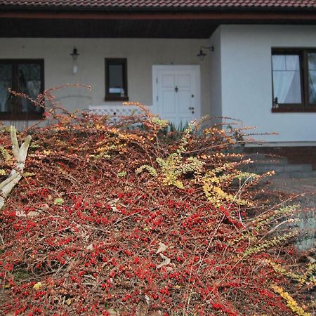 Pokoje Nad Mlynem Strykow Exterior photo